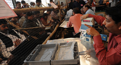 Opposing political groups clashed today after local election results were announced. Here, an election officer counts votes. (AFP/Prakash Singh)