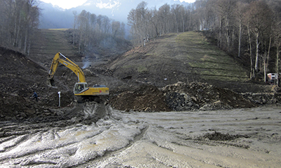 Construction for the Olympic Games has led to the destruction of forests in Sochi. (Reuters/Gennady Fyodorov)