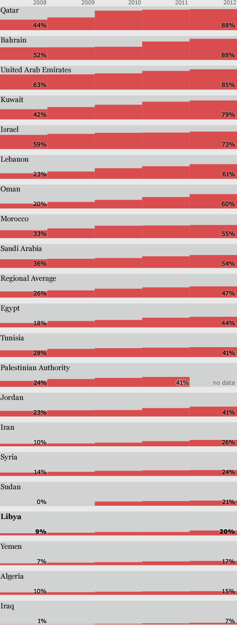 Internet in the Middle East