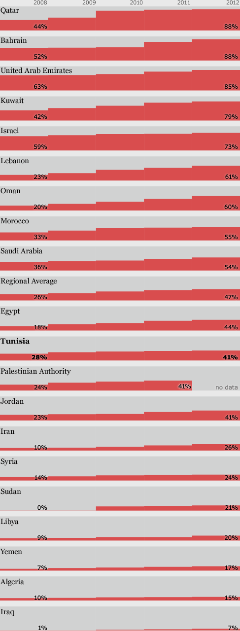 Internet in the Middle East