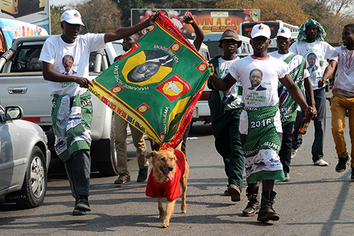 Supporters of President Edgar Lungu's party celebrate his re-election in August. The country's press has been harassed during Zambia's election year. (AFP/Dawood Salim)