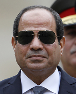 Egypt's President Abdel Fattah el-Sisi. (AFP/Pool)
