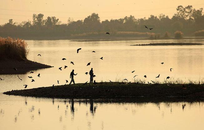 Men feed crows near a lake in Islamabad, Pakistan, on March 5, 2018. An anti-terrorism court in the northern Gilgit-Baltistan region on March 30, 2018, sentenced journalist Shabbir Siham in absentia on charges including defamation and committing acts of terrorism. (Reuters/Faisal Mahmood)