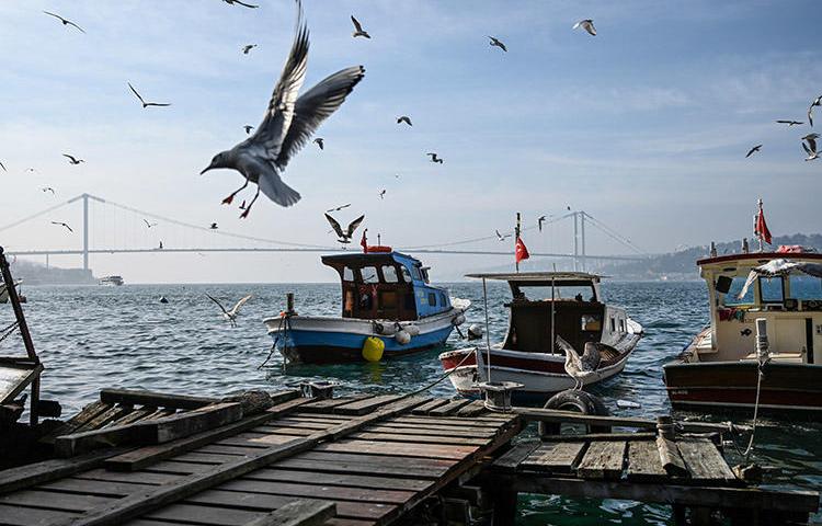 A view of the Bosphorus strait in Istanbul on January 28. Journalist Ayşe Düzkan has started serving an 18-month prison sentence in an Istanbul prison over her participation in the Özgür Gündem solidarity campaign. (AFP/Ozan Kose)