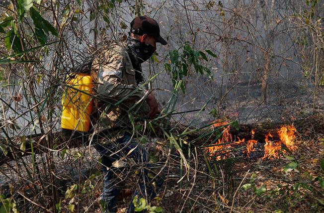 Un voluntario se esfuerza por apagar un incendio forestal en Quitunuquina, en las afueras de Robore, Bolivia, el 24 de agosto de 2019. Los incendios forestales de Bolivia han puesto al descubierto los numerosos riesgos que enfrentan los periodistas ambientales. (AP Photo/Juan Karita)