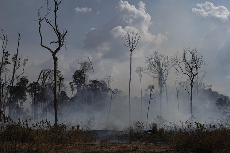 Uma área fumegante na região de Alvorada da Amazônia, em Novo Progresso, Pará, Brasil, em 25 de agosto de 2019. O jornalista brasileiro Adecio Piran foi ameaçado em 28 de agosto após reportar sobre incêndios na região. (Foto AP / Leo Correa)