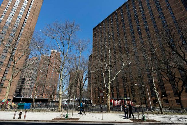 The New York City Housing Authority's John Haynes Holmes Towers are seen on April 4, 2019. CPJ recently spoke with housing reporter Sadef Ali Kully about reporting during the COVID-19 pandemic. (AP/Mark Lennihan)