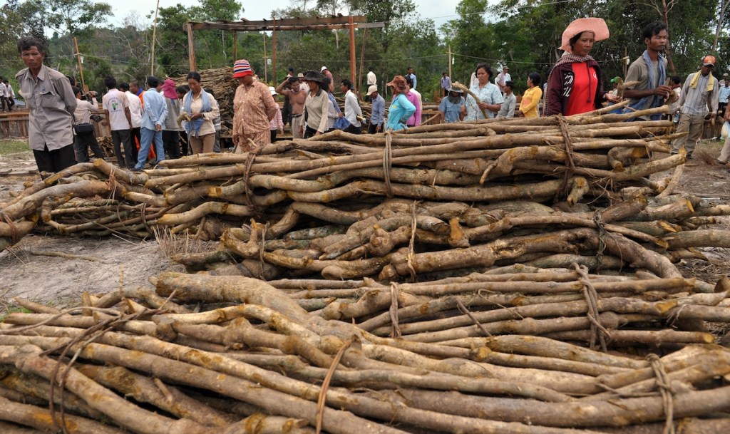 Cambodia logging