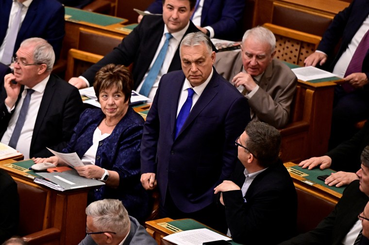 Prime Minister Viktor Orban (center) pledged to crack down on a “shadow army” of critical voices. (Photo: Reuters/Marton Monus)